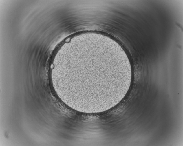 X0000103910975200810171701