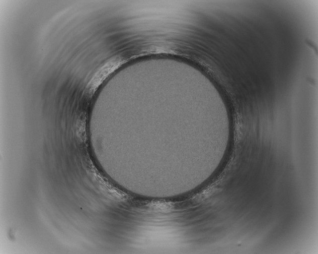 X0000103910977200810171701
