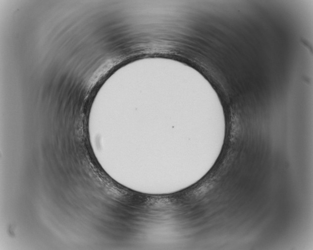 X0000103910978200810171701