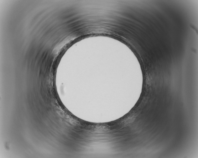 X0000103910979200810171701