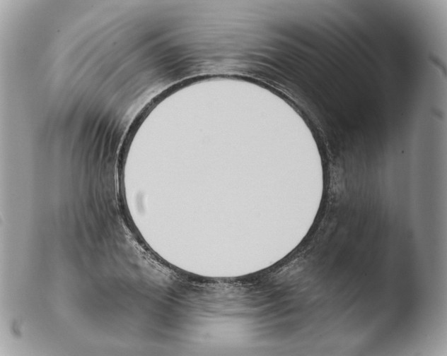 X0000103910980200810171701