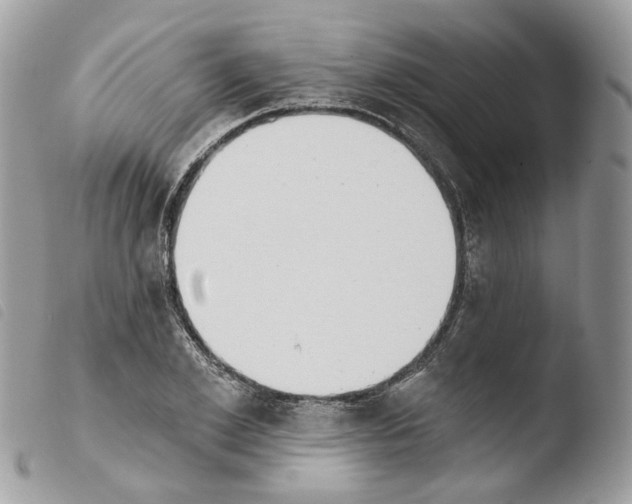 X0000103910981200810171701