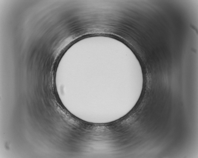 X0000103910982200810171701