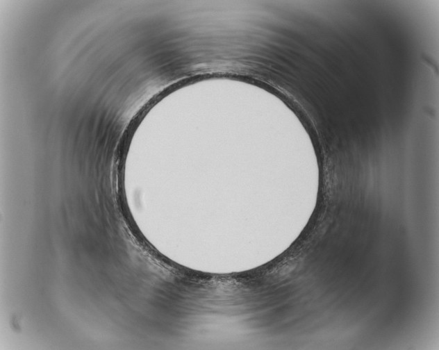X0000103910983200810171701