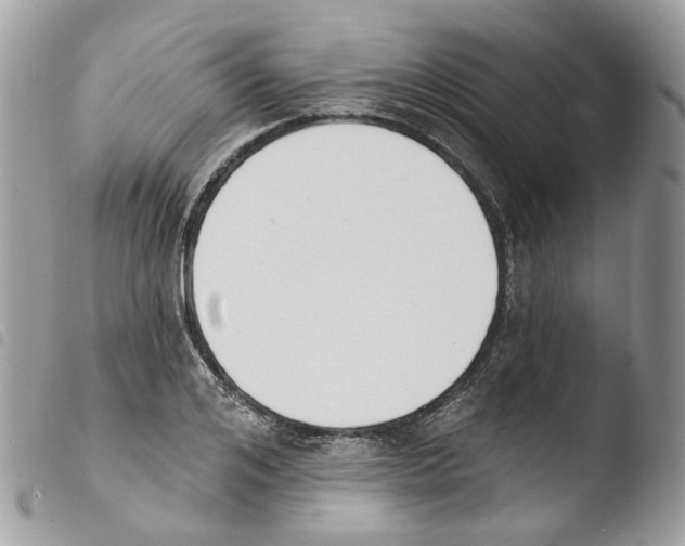 X0000103910984200810171701
