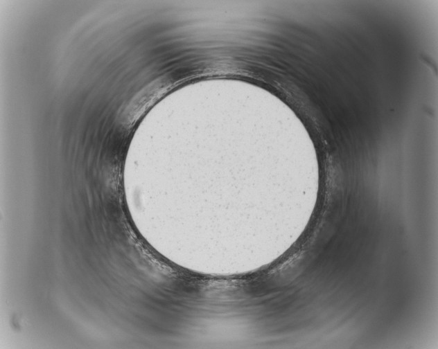 X0000103910985200810171701