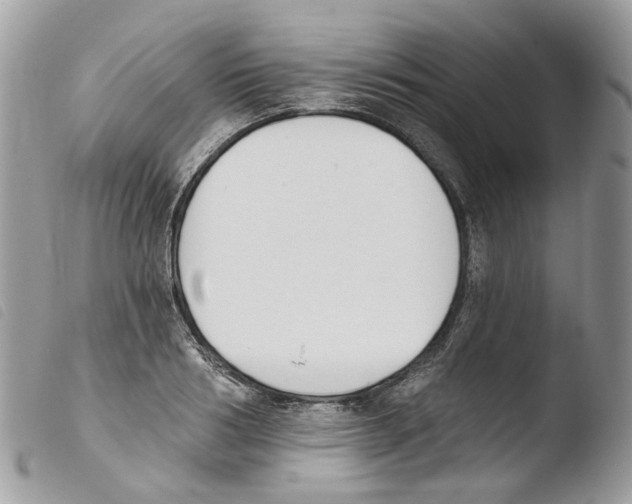 X0000103910986200810171701
