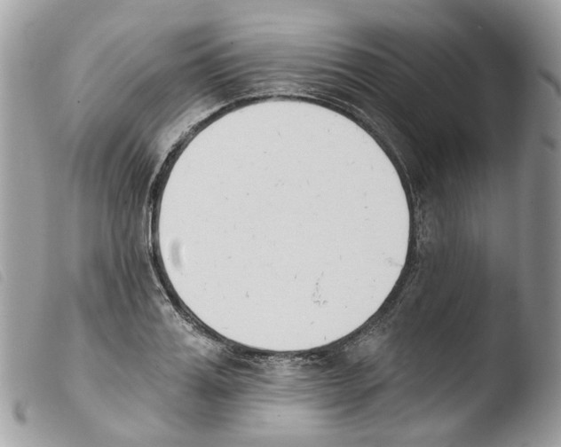 X0000103910987200810171701