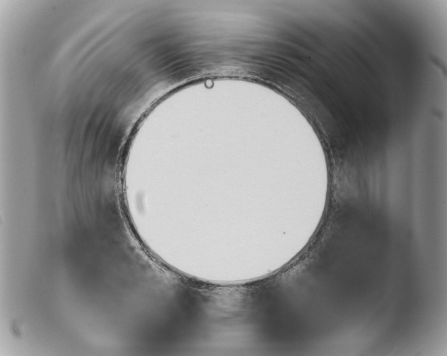X0000103910989200810171701
