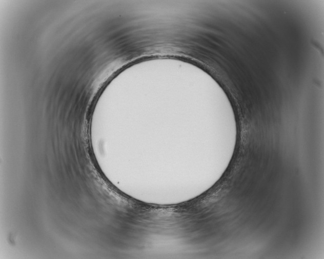 X0000103910990200810171701