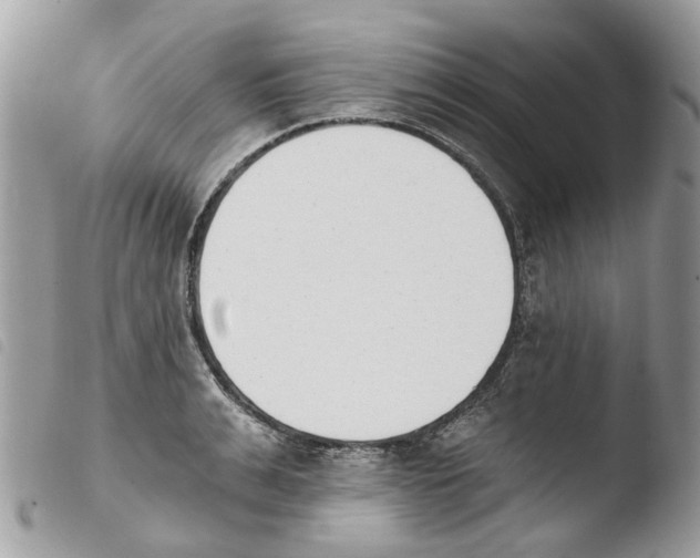 X0000103910991200810171701