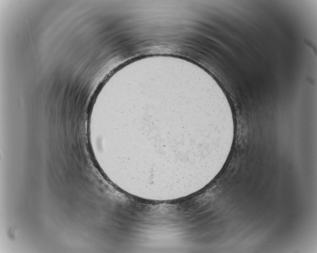 X0000103910992200810171701