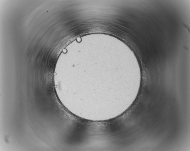 X0000103910993200810171701