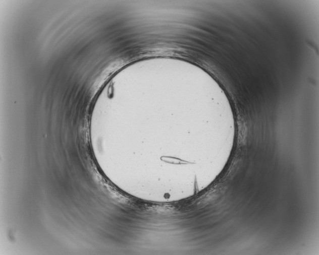 X0000103910994200810171701