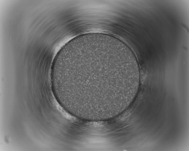X0000103910995200810171701
