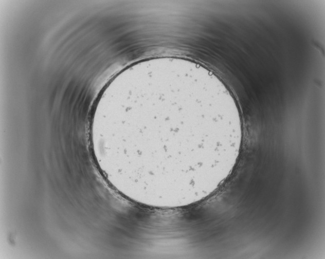 X0000103910997200810171701