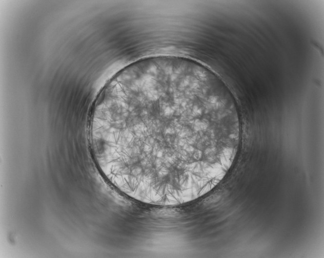 X0000103910998200810171701