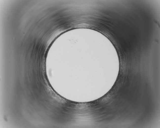 X0000103911000200810171701