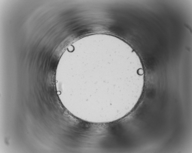 X0000103911001200810171701