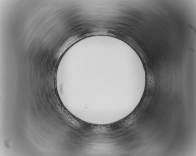 X0000103911002200810171701