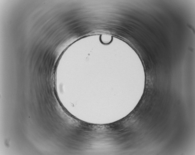 X0000103911003200810171701