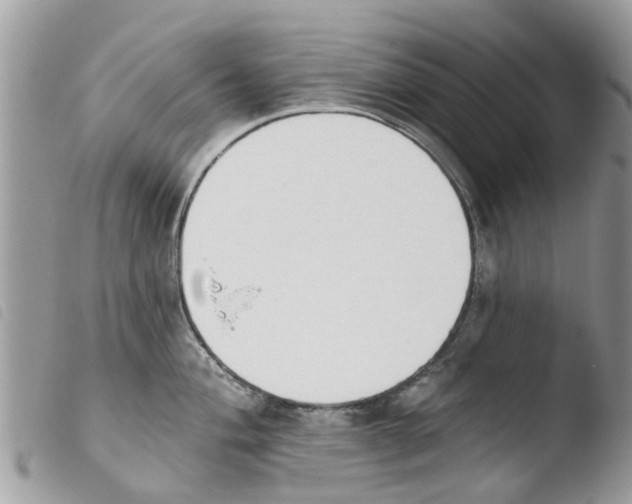 X0000103911004200810171701