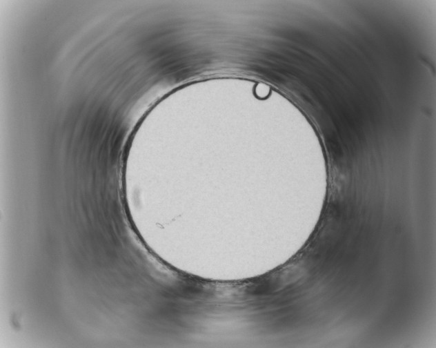 X0000103911005200810171701