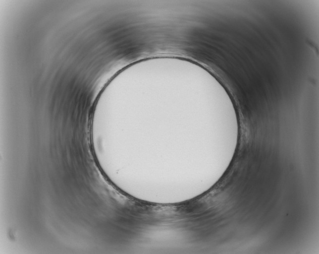 X0000103911006200810171701