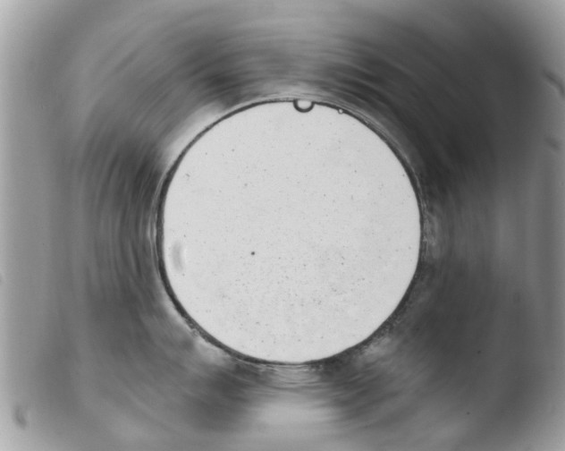 X0000103911007200810171701