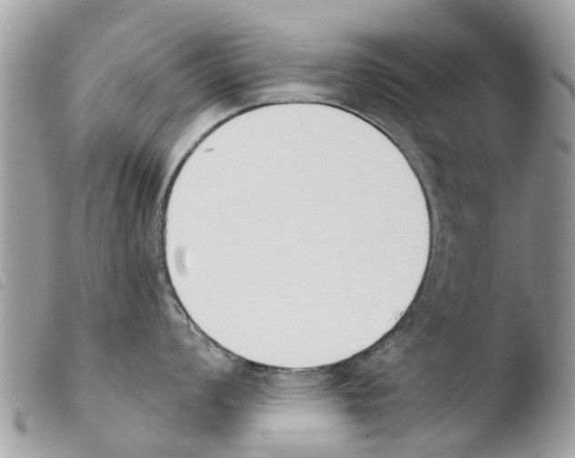 X0000103911008200810171701
