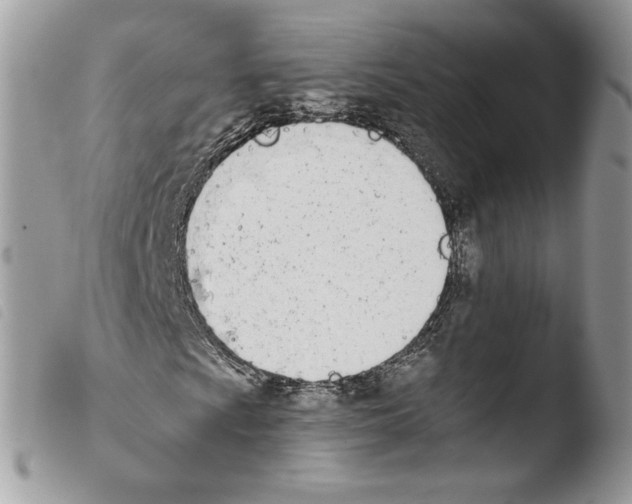 X0000103911009200810171700