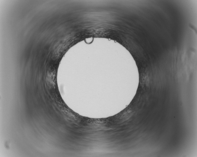 X0000103911010200810171700