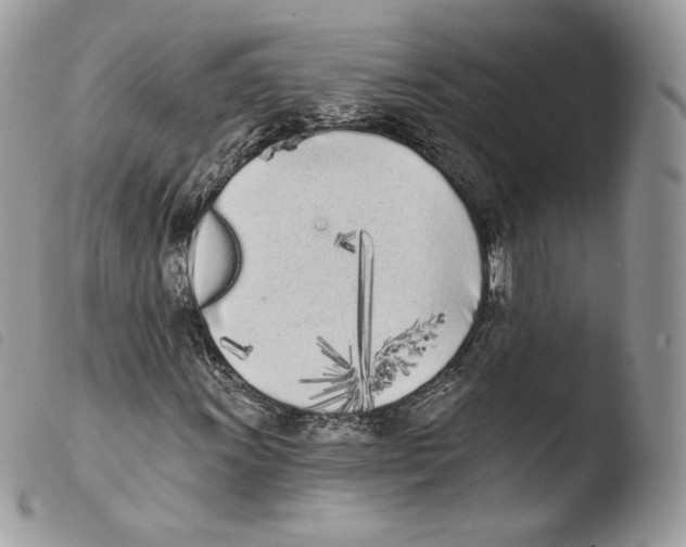 X0000103911011200810171700