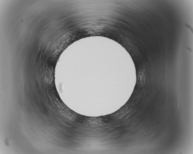 X0000103911012200810171700