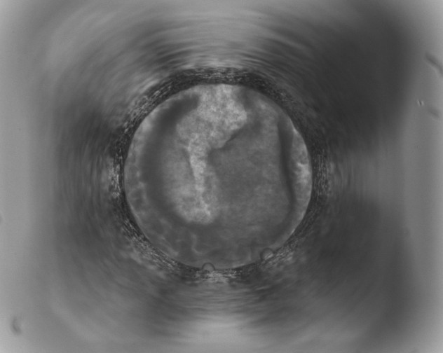 X0000103911013200810171700