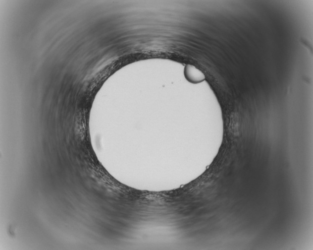 X0000103911015200810171700