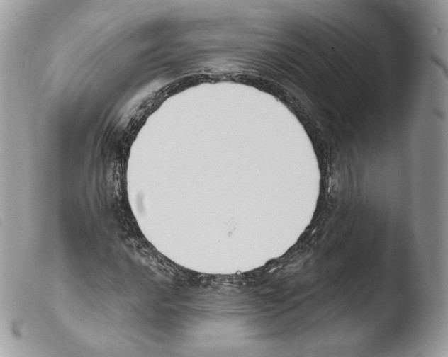 X0000103911016200810171700
