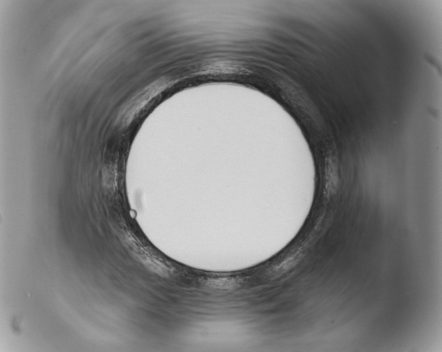 X0000103911017200810171700