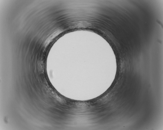 X0000103911018200810171700