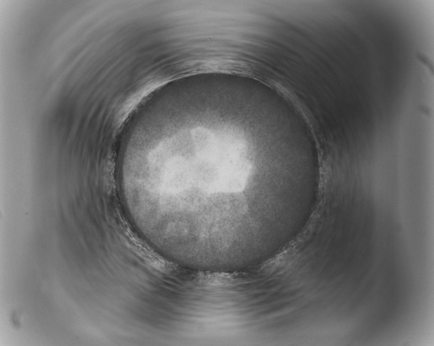 X0000103911019200810171700