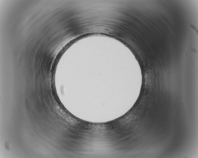 X0000103911020200810171700