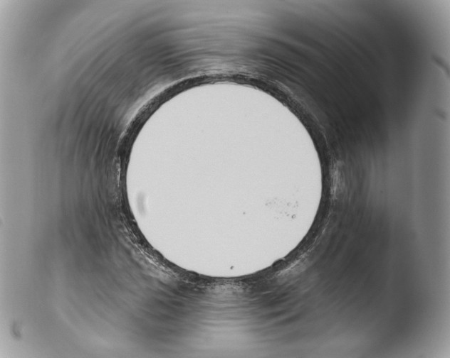 X0000103911021200810171700