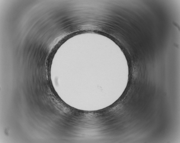 X0000103911022200810171700