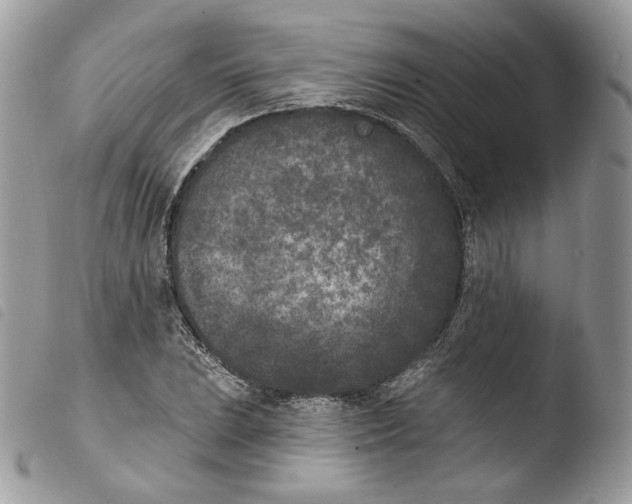 X0000103911023200810171700