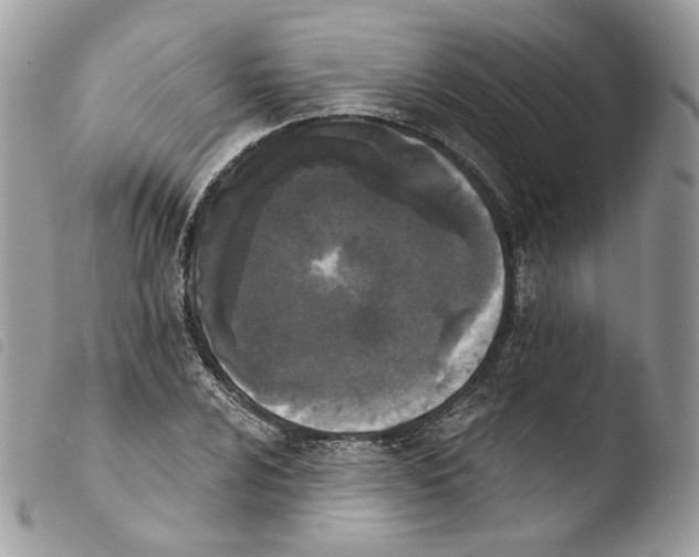 X0000103911024200810171700