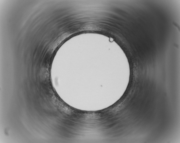 X0000103911025200810171700