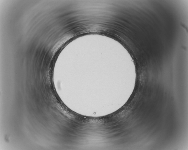 X0000103911026200810171700