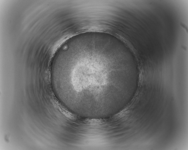X0000103911027200810171700
