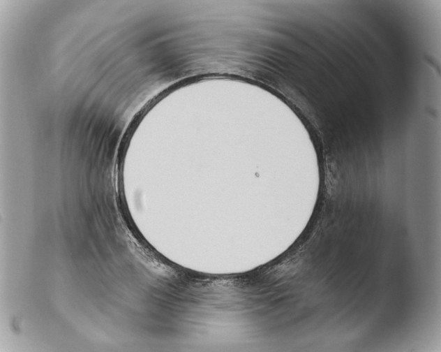 X0000103911028200810171700