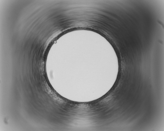 X0000103911029200810171700